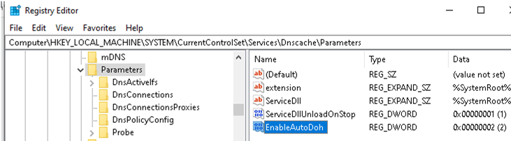 windows 10 enable dns over https via registry parameter EnableAutoDoh 